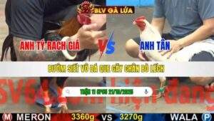 TRẬN 11 CPC5 NGÀY 21/10/2025