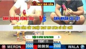 TRẬN 11 CPC6 NGÀY 13/10/2025