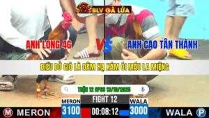 TRẬN 12 CPC6 NGÀY 13/10/2025