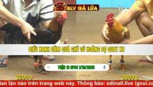 TRẬN 13 CPC4 NGÀY 1/10/2025