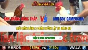 TRẬN 13 CPC5 NGÀY 21/10/2025