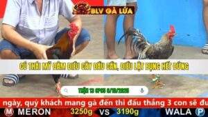 TRẬN 13 CPC5 NGÀY 6/10/2025