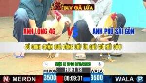 TRẬN 13 CPC6 NGÀY 6/10/2025