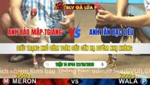 TRẬN 14 CPC4 NGÀY 22/10/2025