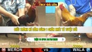 TRẬN 14 CPC4 NGÀY 24/10/2025