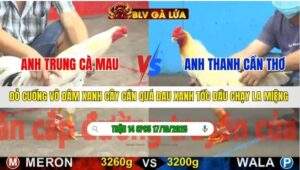 TRẬN 14 CPC5 NGÀY 17/10/2025