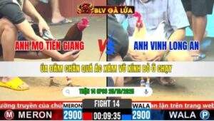 TRẬN 14 CPC6 NGÀY 25/10/2025