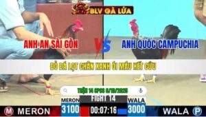 TRẬN 14 CPC6 NGÀY 6/10/2025