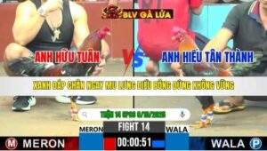 TRẬN 14 CPC6 NGÀY 8/10/2025