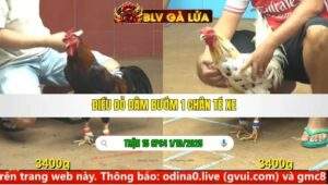 TRẬN 15 CPC4 NGÀY 1/10/2025