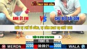 TRẬN 15 CPC6 NGÀY 11/10/2025