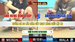 TRẬN 15 CPC6 NGÀY 12/10/2025