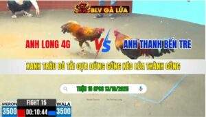 TRẬN 15 CPC6 NGÀY 13/10/2025