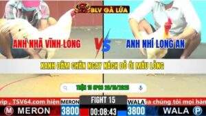 TRẬN 15 CPC6 NGÀY 26/10/2025