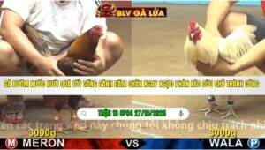 TRẬN 16 CPC4 NGÀY 27/10/2025