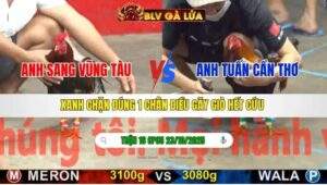 TRẬN 16 CPC5 NGÀY 23/10/2025