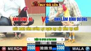 TRẬN 16 CPC6 NGÀY 6/10/2025