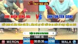 TRẬN 16 CPC6 NGÀY 8/10/2025