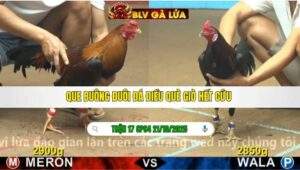 TRẬN 17 CPC4 NGÀY 21/10/2025