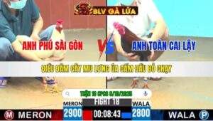 TRẬN 18 CPC6 NGÀY 6/10/2025