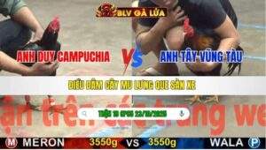 TRẬN 19 CPC5 NGÀY 23/10/2025