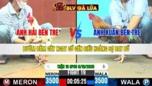 TRẬN 19 CPC6 NGÀY 6/10/2025