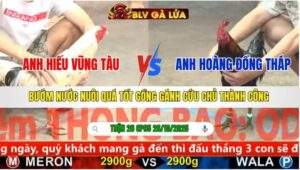 TRẬN 2 CPC5 NGÀY 26/10/2025