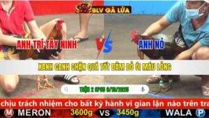 TRẬN 2 CPC5 NGÀY 9/10/2025