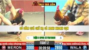 TRẬN 2 CPC6 NGÀY 27/10/2025