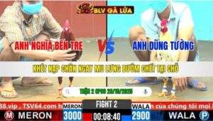 TRẬN 2 CPC6 NGÀY 29/10/2025