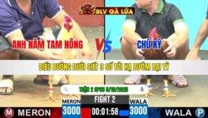 TRẬN 2 CPC6 NGÀY 8/10/2025