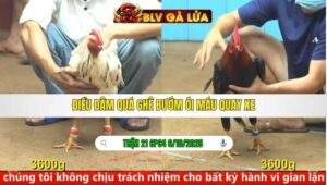 TRẬN 21 CPC4 NGÀY 6/10/2025