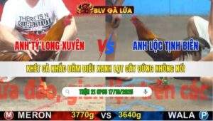 TRẬN 21 CPC5 NGÀY 17/10/2025