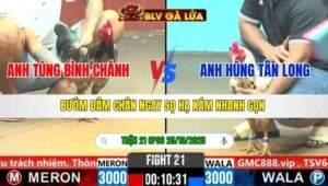 TRẬN 21 CPC6 NGÀY 25/10/2025