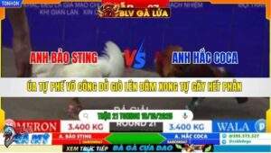 TRẬN 21 TONHON NGÀY 18/10/2025