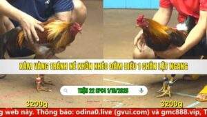 TRẬN 22 CPC4 NGÀY 1/10/2025