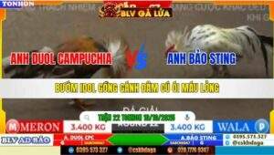 TRẬN 22 TONHON NGÀY 10/10/2025