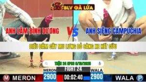 TRẬN 24 CPC6 NGÀY 6/10/2025