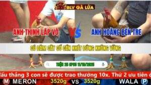 TRẬN 25 CPC5 NGÀY 11/10/2025