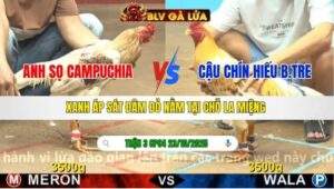 TRẬN 3 CPC4 NGÀY 23/10/2025