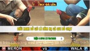 TRẬN 3 CPC4 NGÀY 27/10/2025