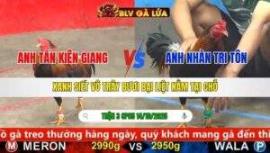 TRẬN 3 CPC5 NGÀY 14/10/2025