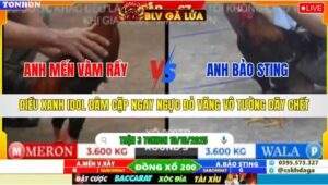 TRẬN 3 TONHON NGÀY 10/10/2025