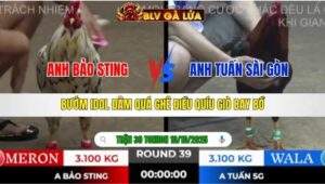 TRẬN 39 TONHON NGÀY 10/10/2025