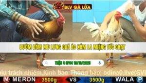 TRẬN 4 CPC4 NGÀY 19/10/2025