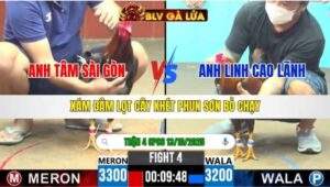 TRẬN 4 CPC6 NGÀY 13/10/2025