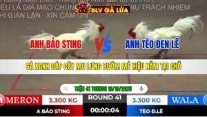 TRẬN 41 TONHON NGÀY 10/10/2025