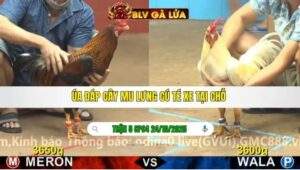 TRẬN 5 CPC4 NGÀY 24/10/2025