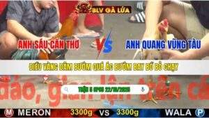 TRẬN 5 CPC5 NGÀY 22/10/2025