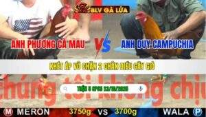 TRẬN 5 CPC5 NGÀY 23/10/2025